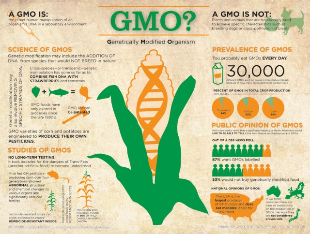 GMO - Genetically Modified Organisms. 